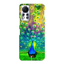 Чохол з пташками на Infinix Hot 11s (VPrint) (Яскравий Павлин)