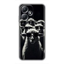 Чохол з принтом стильні тварини для Інфінікс Хот 30 Плей – Овечка в окулярах