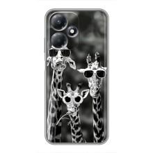 Силиконовый чехол с КАРТИНКАМИ лето для Infinix Hot 30 Play (AlphaPrint) (Жирафы в очках)