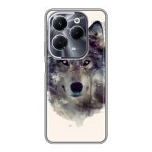 Чехол с Волком на Infinix Hot 40 Play – Волк