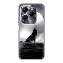 Чехол с Волком на Infinix Hot 40 Pro – Волк и луна