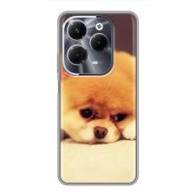 Чехол (ТПУ) Милые собачки для Infinix Hot 40 Pro (Померанский шпиц)