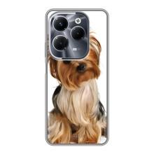 Чехол (ТПУ) Милые собачки для Infinix Hot 40 Pro (Собака Терьер)