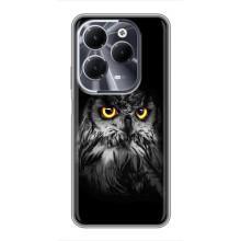 Чохли з принтом СОВИ для Infinix Hot 40 – Сова на чорному