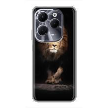 Чехол с картинкой на Infinix Hot 40 – Красивый Лев