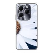 Чехол с ромашками на Infinix Hot 40 – Пол ромашки