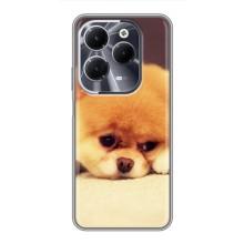 Чехол (ТПУ) Милые собачки для Infinix Hot 40 (Померанский шпиц)