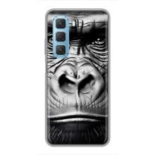 Чехлы с Горилой на Инфиникс Хот 50 5G – Черная обезьяна