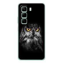 Чехлы с принтом СОВЫ для Infinix Hot 50 – Сова на чёрном