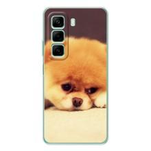 Чехол (ТПУ) Милые собачки для Infinix Hot 50 (Померанский шпиц)