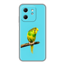 Силіконовий бампер з птичкою на Infinix Hot 50i – Попугайчик