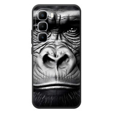 Чехлы с Горилой на Хот 60 Про Плюс – Черная обезьяна