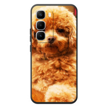 Чехлы с собаками для Infinix Hot 60 Pro Plus (VPrint) (Щенок Бишон)