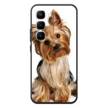 Чехол (ТПУ) Милые собачки для Infinix Hot 60 Pro Plus (Собака Терьер)