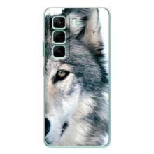 Чохли з картинкою животних Infinix Hot 60i (Вовк)