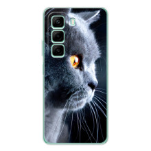 Чохли з Котиками для Infinix Hot 60i (VPrint) (Сірий Кіт)