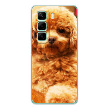 Чохли з собаками для Infinix Hot 60i (VPrint) (Цуценя Бішон)