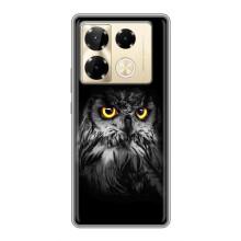 Чехлы с принтом СОВЫ для Infinix Note 40 Pro – Сова на чёрном