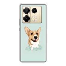 Чехлы с собаками для Infinix Note 40 Pro (VPrint) (Корги)