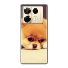 Чехол (ТПУ) Милые собачки для Infinix Note 40 Pro – Померанский шпиц