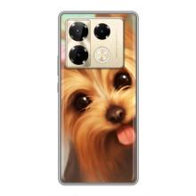 Чехол (ТПУ) Милые собачки для Infinix Note 40 Pro – Йоршенский терьер
