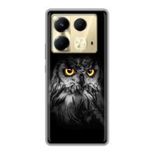 Чохли з принтом СОВИ для Infinix Note 40 – Сова на чорному