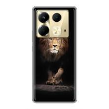 Чехол с картинкой на Infinix Note 40 – Красивый Лев