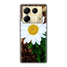 Чехол с ромашками на Infinix Note 40 – Белая ромашка