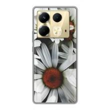 Чехол с ромашками на Infinix Note 40 – Цветы Ромашки