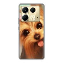 Чехол (ТПУ) Милые собачки для Infinix Note 40 – Йоршенский терьер