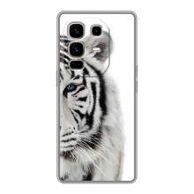 Чохли з картинкою животних Infinix Note 50 Pro Plus (Білий Тигр)