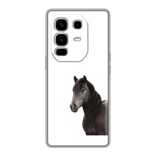 Чехлы с Лошадью дляInfinix Note 50 Pro Plus (VPrint) (Чорний кінь)