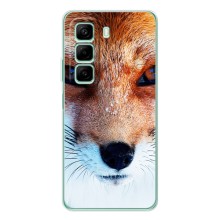 Чехол с Лисичкой для Infinix Note 50 Pro Plus – Рыжая Лисичка