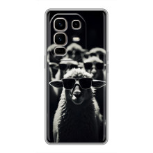 Чохол з принтом стильні тварини для Ноте 50 Про Плюс (Овечка в окулярах)