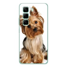 Чехол (ТПУ) Милые собачки для Infinix Note 50 Pro (Собака Терьер)