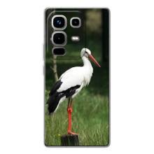 Силіконовий бампер з птичкою на Infinix Note 50 Pro
