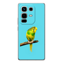 Силіконовий бампер з птичкою на Infinix Note 50 Pro – Попугайчик