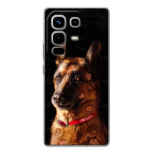 Чехлы с картинками животных Infinix Note 50 (Овчарка)