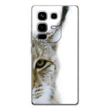 Чехлы с картинками животных Infinix Note 50 (Рысь)