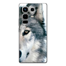 Чехлы с картинками животных Infinix Note 50 (Волк)