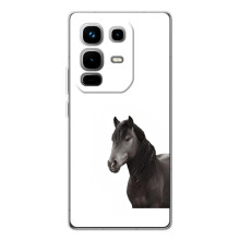 Чехлы с Лошадью дляInfinix Note 50 (VPrint) – Чорний кінь