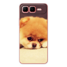 Чохол (ТПУ) Милі песики для Infinix Smart 10 Plus (Померанский шпіц)