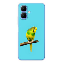 Силіконовий бампер з птичкою на Infinix Smart 10 – Попугайчик