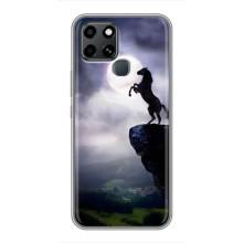 Чохли з зображенням різних тварин на Infinix Smart 6 (Кінь)