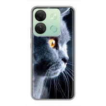 Чехлы с Котиками для Infinix Smart 7 HD (VPrint) (Серый Кот)