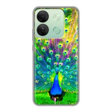 Чехол с птицами на Infinix Smart 7 HD (VPrint) (Яркий Павлин)
