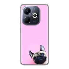 Бампер для Infinix Smart 8 Plus с картинкой "Песики" – Собака на розовом