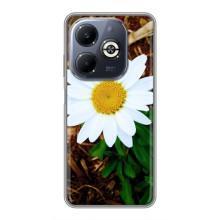 Чохол з ромашками на Infinix Smart 8 Plus – Біла ромашка