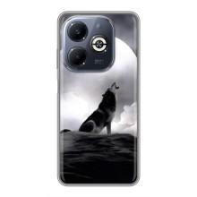 Чехол с Волком на Infinix Smart 8 Plus – Волк и луна