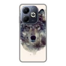 Чехол с Волком на Infinix Smart 8 Plus – Волк